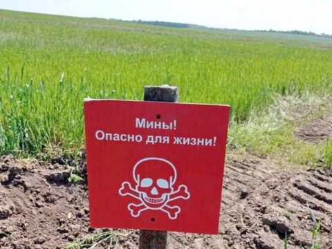 Как обезвредить мины, рассказали спасатели Ногинска белгородским коллегам Новости Ногинска 